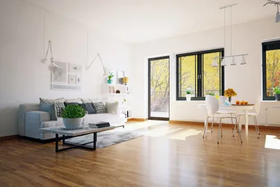 Bright, open-plan living room with a black-framed single door open to a sunny balcony and a matching window