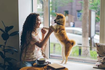 A woman and her dog enjoy the view from a large, clear Origin window in a bright, modern room